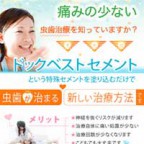 ドッグベストセメント
