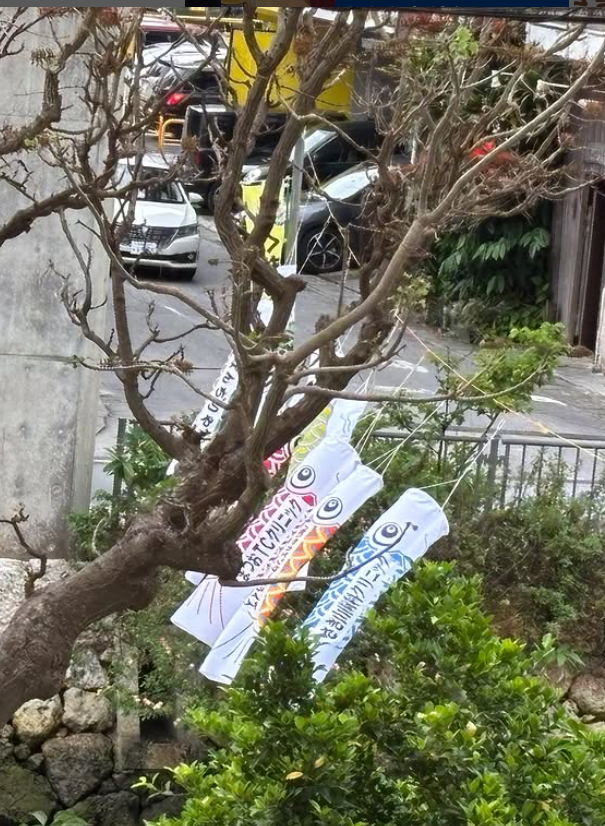 こいのぼり